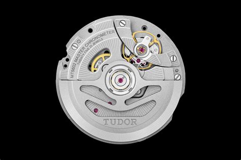 tudor certificati cosc|tudor timekeeping certification.